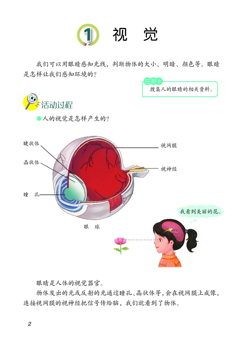 《06六制六下科学（2023新版）_小学1-6年级全科全套_2025更新专题（含教材）_寒假预复习必备资料2024新版小学教材电子版_小学科学_青岛版（无水印）_六制》第8页预览