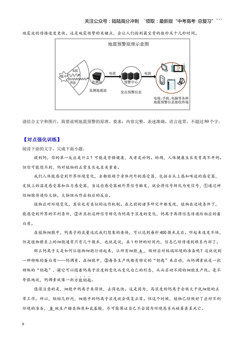 《10图文转换—（学生版）_一轮复习_2026年-语文一轮复习_2026年高三语文一轮复习高考试题点对点专项训练（全国通用）-G344》第6页预览