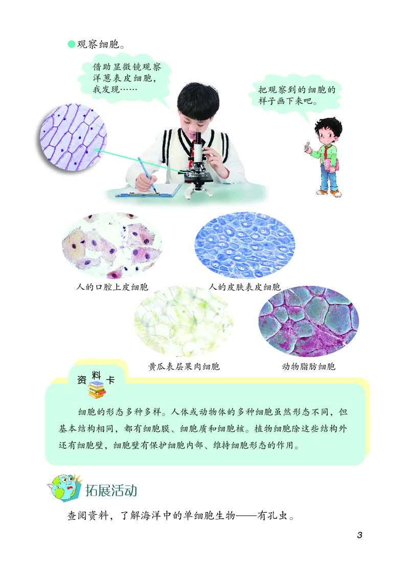 《06六制六上科学_小学1-6年级全科全套_2025更新专题（含教材）_寒假预复习必备资料2024新版小学教材电子版_小学科学_青岛版（无水印）_六制》第10页预览