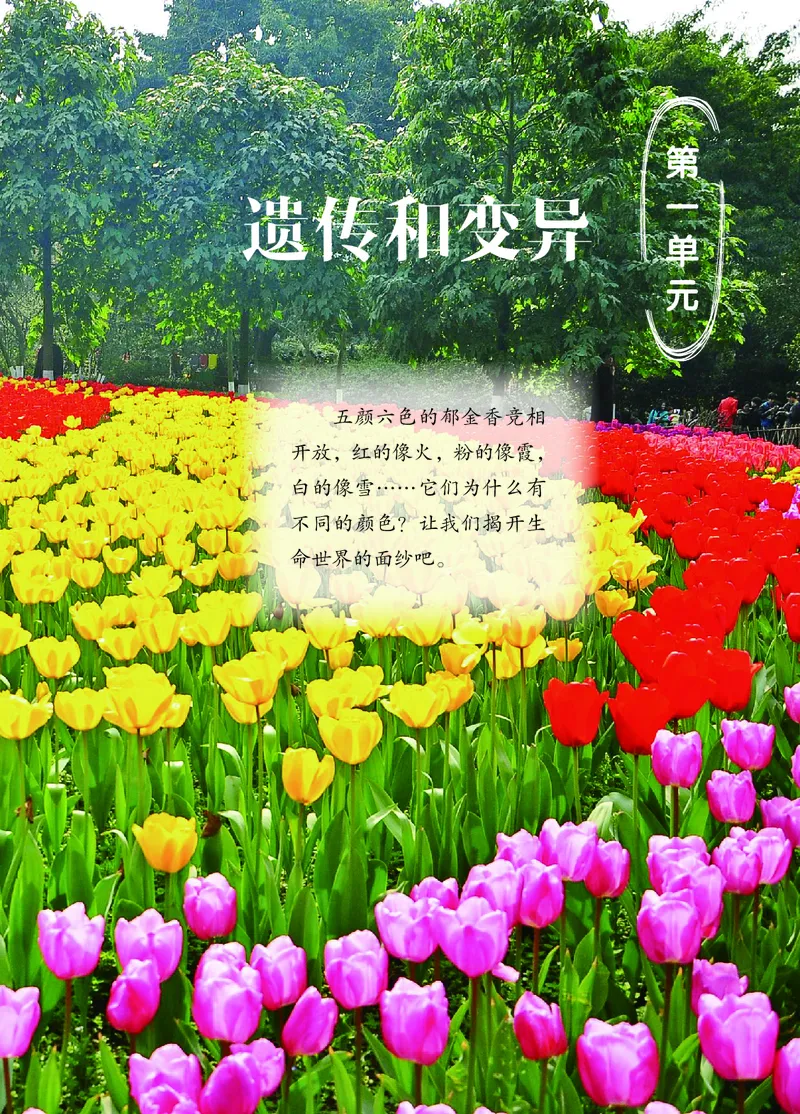 《06六制六上科学_小学1-6年级全科全套_2025更新专题（含教材）_寒假预复习必备资料2024新版小学教材电子版_小学科学_青岛版（无水印）_六制》第8页预览