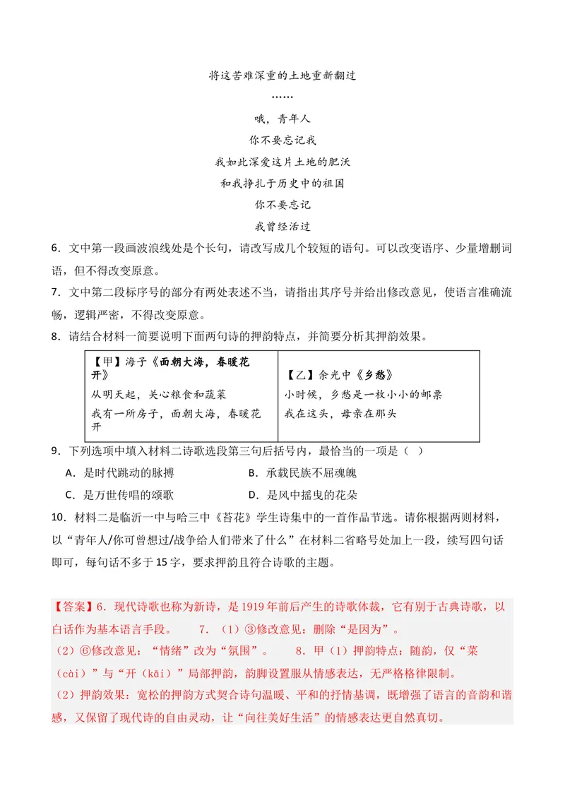 《06语言运用（2026年1月高三月考）01（教师版）_专项复习_2026年-语文专项复习_352026年高考语文各地模考好题分类汇编练（全国ⅠⅡ卷区）_资料》第5页预览