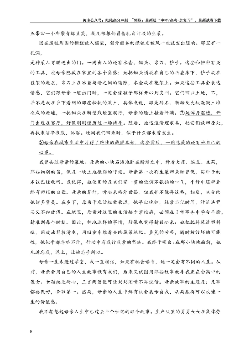 《01文学类文本阅读真题综合训练（一）（全国通用）（解析版）_一轮复习_2024年_2024高考语文一轮复习文学类小说散文阅读全国通用_资料》第6页预览