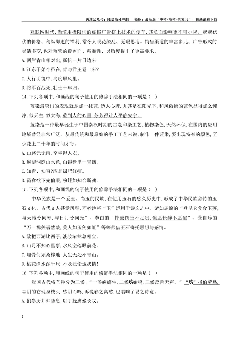 《09修辞手法的使用专项对点训练（原卷版）_一轮复习_2025年_2025年高考语文一轮复习之语言文字运用（全国通用）_资料_1-资料》第5页预览