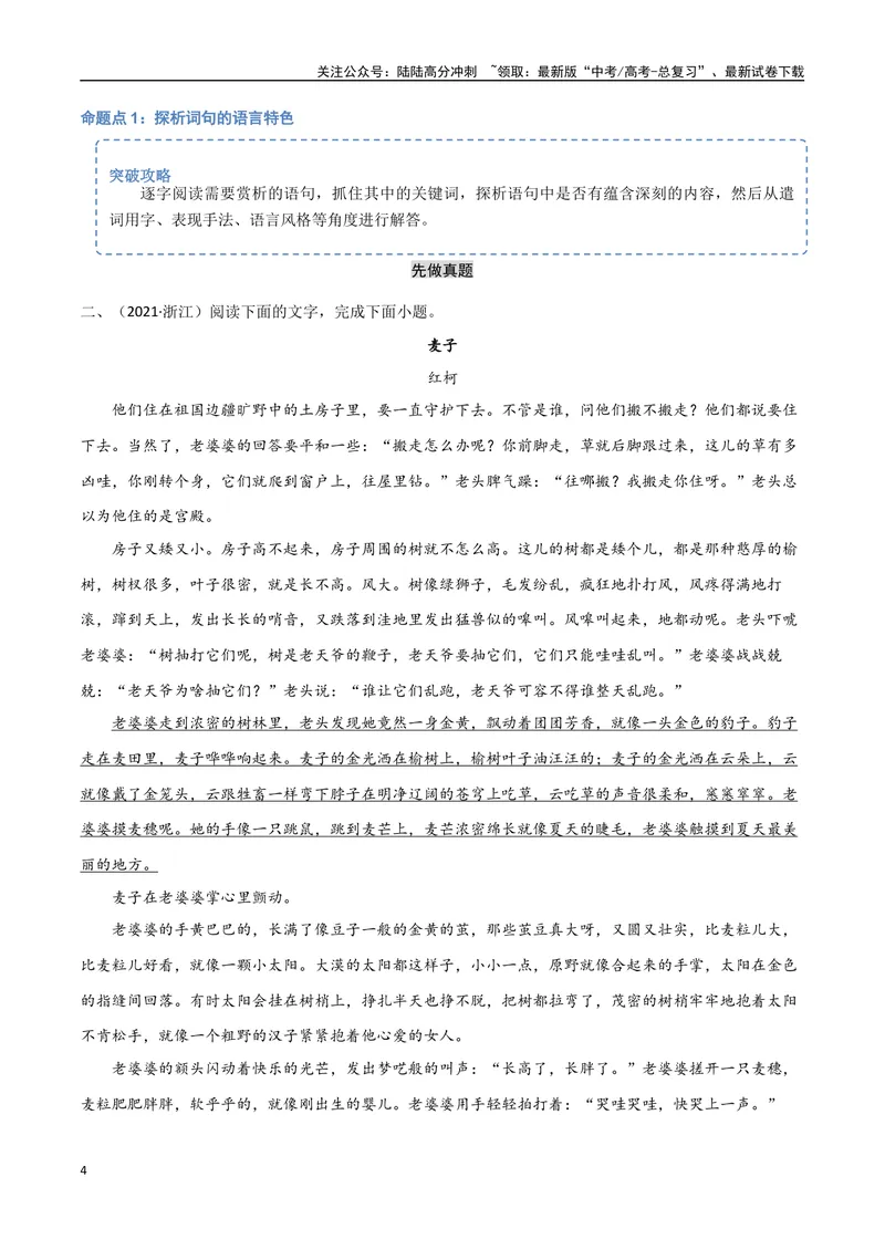 《12（文学文本阅读）赏析语言技巧（学生版）_专项复习_2025年_2025年高考语文题型全练点对点（新高考地区通用）_资料》第4页预览