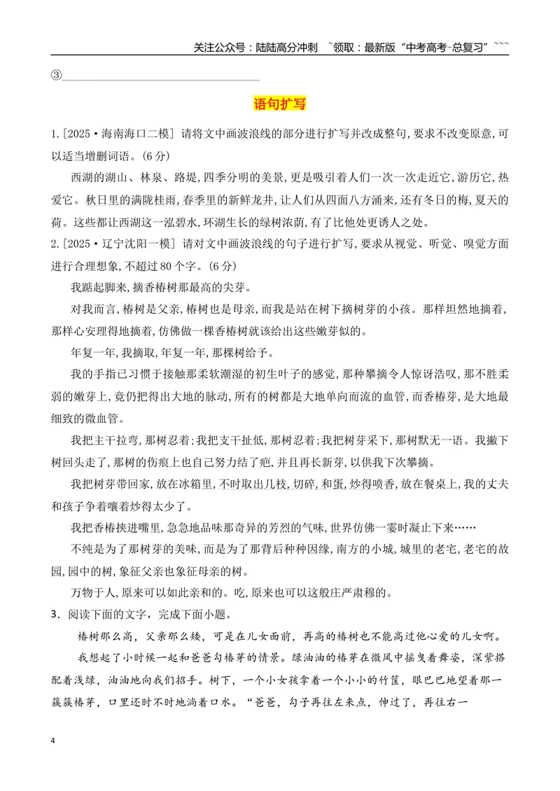 《13逻辑推理+语句扩写专项训练（学生版）_一轮复习_2026年-语文一轮复习_2026年高考语文一轮复习之语言文字运用（全国通用）-G389_资料》第4页预览