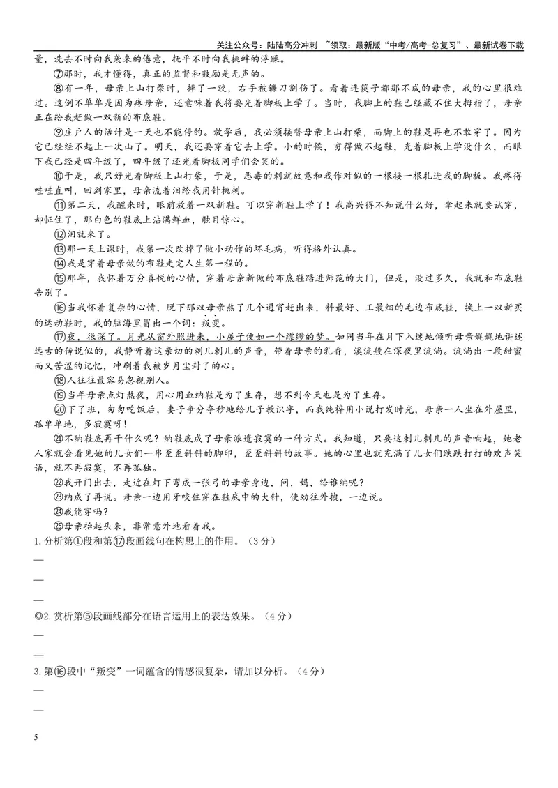 《03文学文本：语言（原卷版）_专项复习_2025年_2025年高考语文文学类文本阅读16练（上海专用）》第5页预览