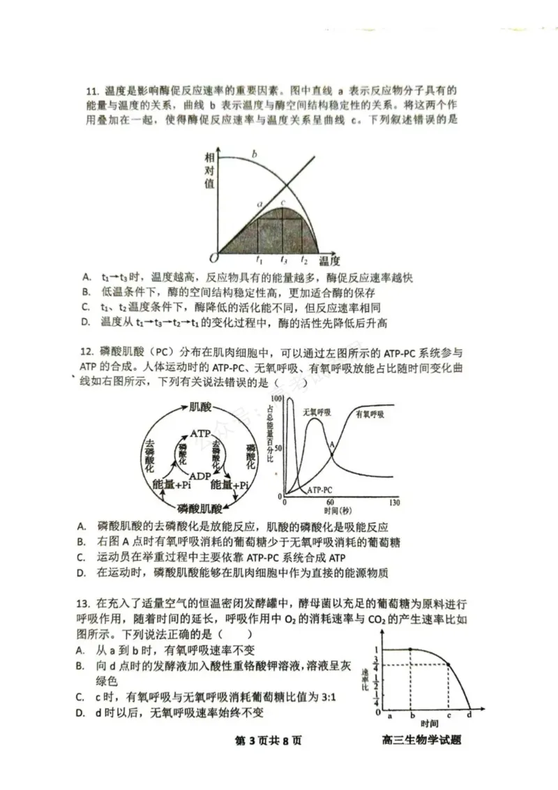 《东风高级中学2026-2027学年高三上学期开学检测生物_副本_小初高学习资料合集（每天更新）_湖北十堰开学湖北十堰市东风高级中学2026-2027学年高三上学期开学检测》第3页预览