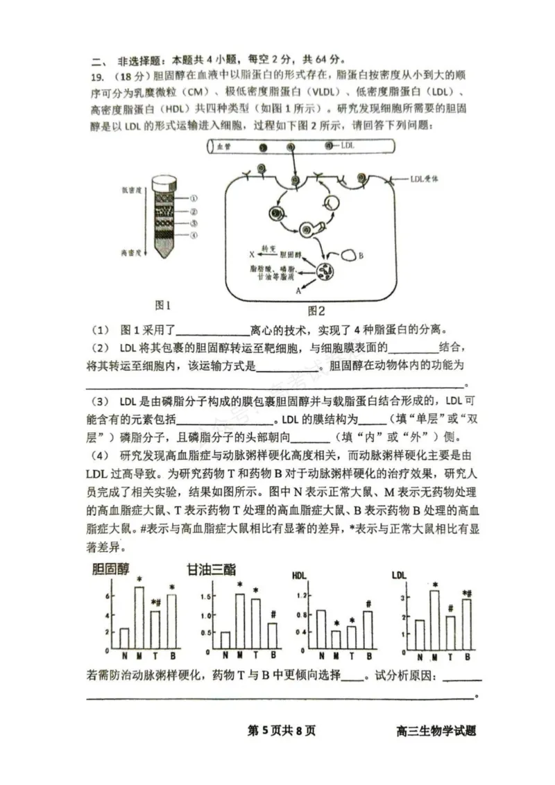 《东风高级中学2026-2027学年高三上学期开学检测生物_副本_小初高学习资料合集（每天更新）_湖北十堰开学湖北十堰市东风高级中学2026-2027学年高三上学期开学检测》第5页预览