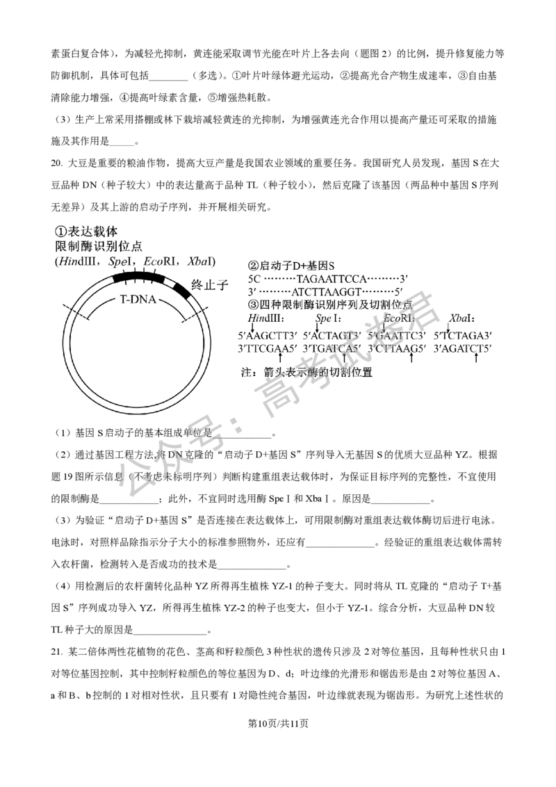 《06_生物_贵阳市第一中学2026-2027年高三年级8月高考适应性月考卷（一）_试卷+答案_小初高学习资料合集（每天更新）_贵阳市第一中学2026-2027年高三年级8月高考适应性月考卷（一）》第10页预览