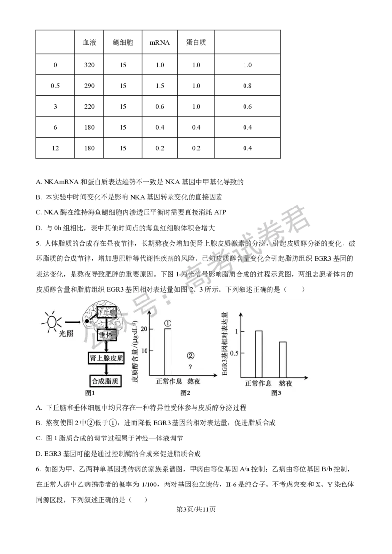 《06_生物_贵阳市第一中学2026-2027年高三年级8月高考适应性月考卷（一）_试卷+答案_小初高学习资料合集（每天更新）_贵阳市第一中学2026-2027年高三年级8月高考适应性月考卷（一）》第3页预览