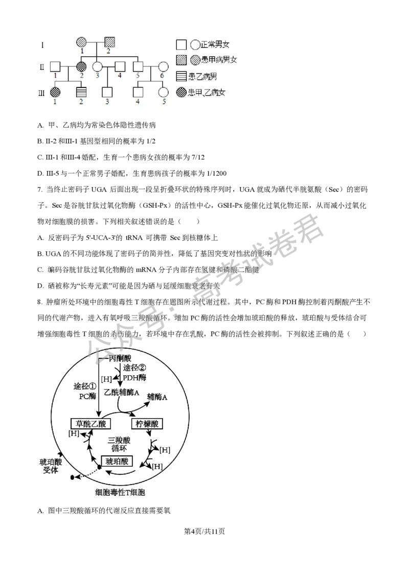 《06_生物_贵阳市第一中学2026-2027年高三年级8月高考适应性月考卷（一）_试卷+答案_小初高学习资料合集（每天更新）_贵阳市第一中学2026-2027年高三年级8月高考适应性月考卷（一）》第4页预览