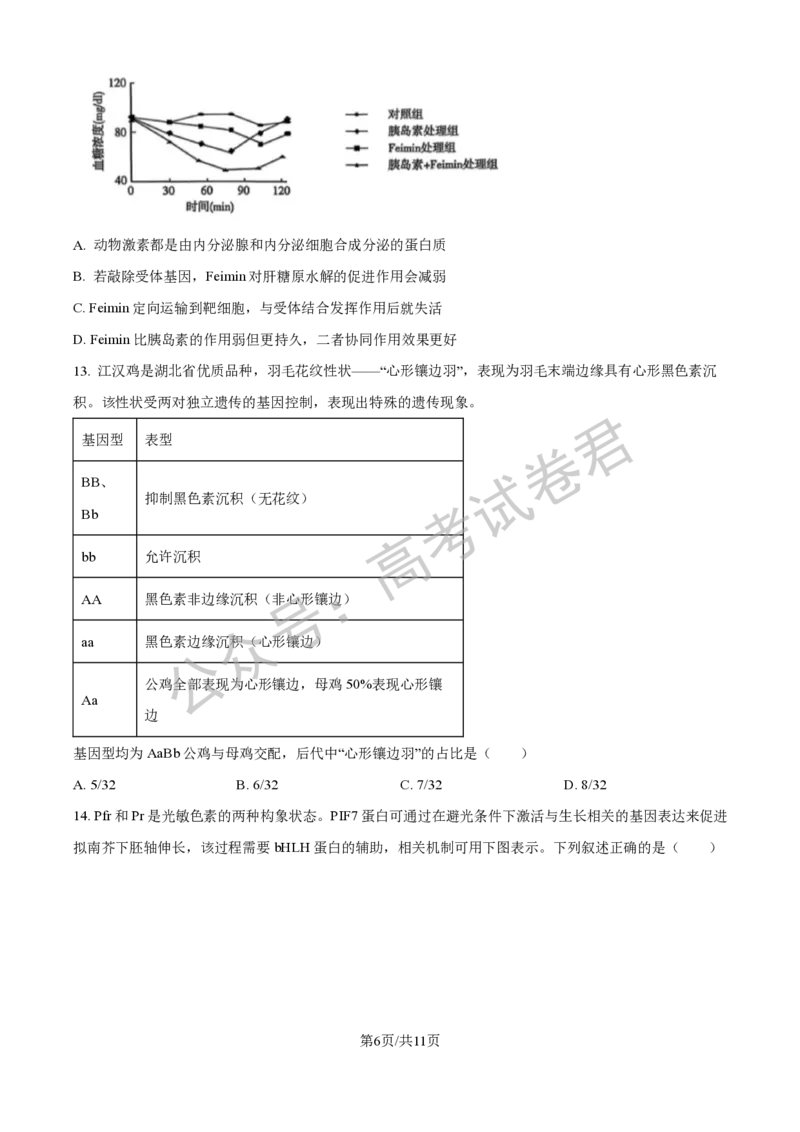 《06_生物_贵阳市第一中学2026-2027年高三年级8月高考适应性月考卷（一）_试卷+答案_小初高学习资料合集（每天更新）_贵阳市第一中学2026-2027年高三年级8月高考适应性月考卷（一）》第6页预览