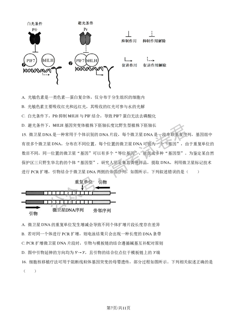 《06_生物_贵阳市第一中学2026-2027年高三年级8月高考适应性月考卷（一）_试卷+答案_小初高学习资料合集（每天更新）_贵阳市第一中学2026-2027年高三年级8月高考适应性月考卷（一）》第7页预览