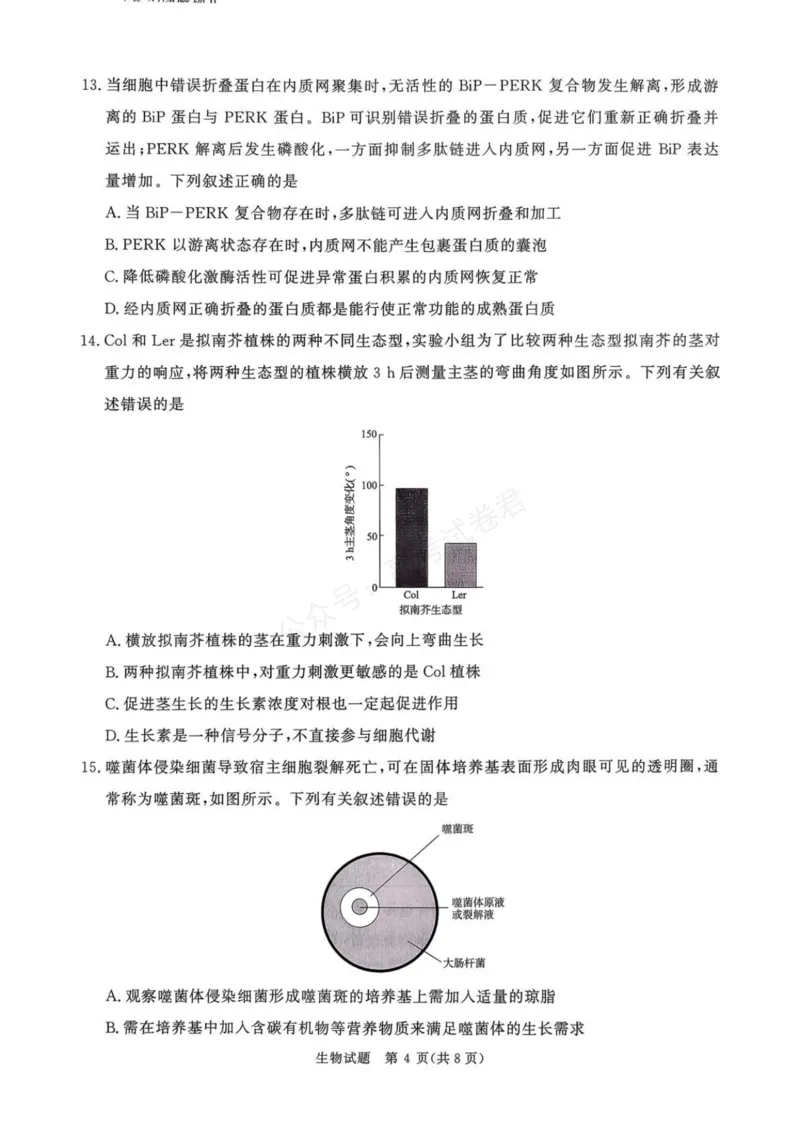 《2025—2026学年高三9月高三质量检测生物试题答案解析评分细则2025—2026学年高三9月高三质量检测生物试题_小初高学习资料合集（每天更新）》第4页预览