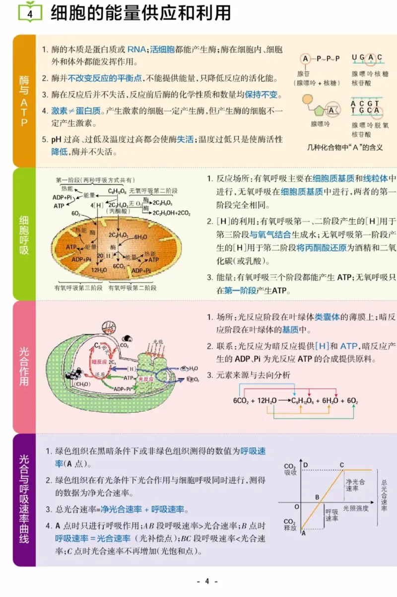 《生物考点常识汇总_3539.2027北京定向选调_052027行测资料（名师笔记+技巧+必考点）_00科学推理重要知识汇总》第4页预览