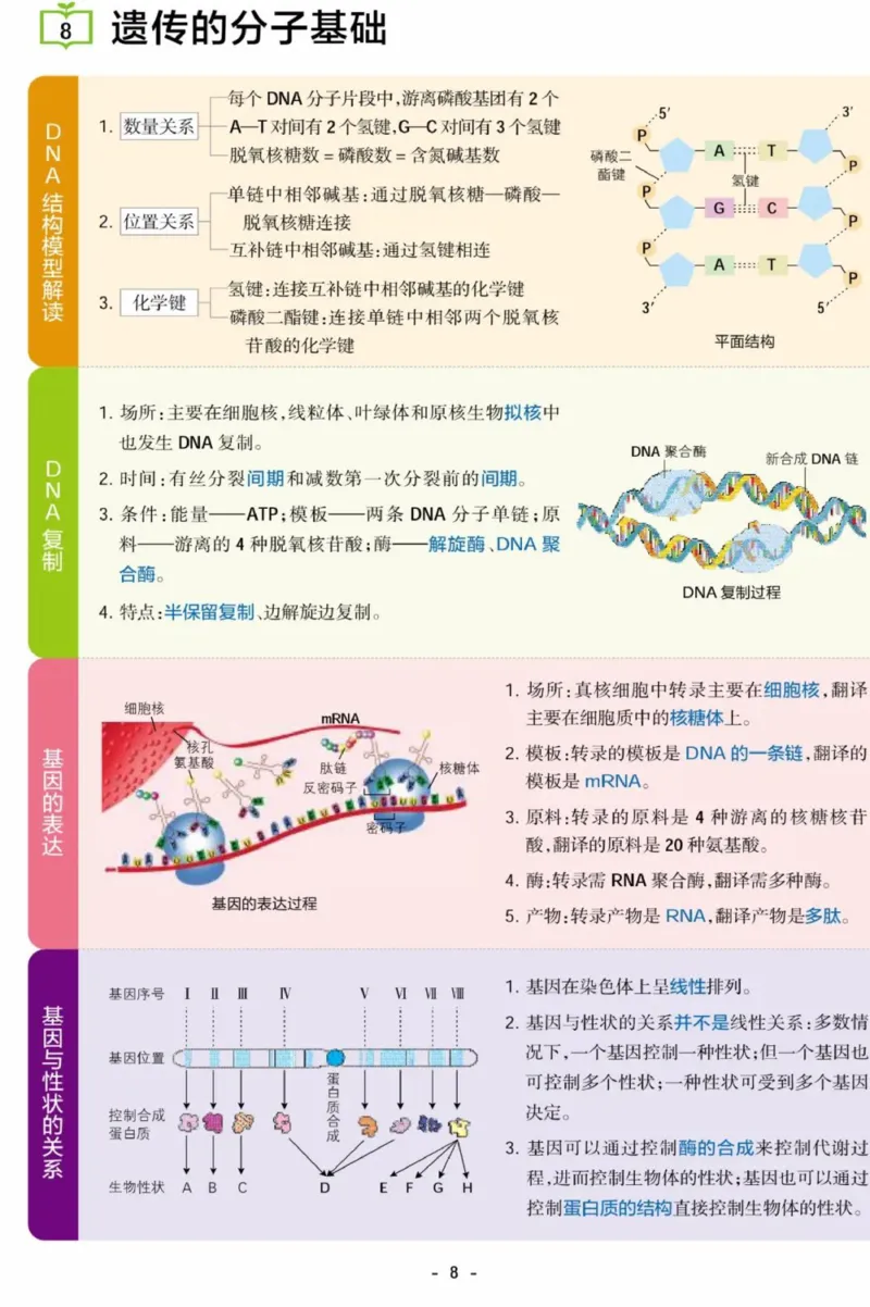 《生物考点常识汇总_3539.2027北京定向选调_052027行测资料（名师笔记+技巧+必考点）_00科学推理重要知识汇总》第8页预览