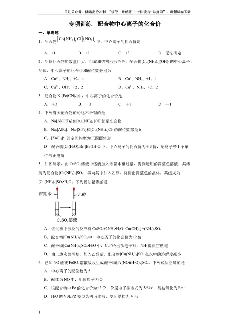 《专项训练配合物中心离子的化合价（原卷版）_05-化学-高考总复习_一轮复习_2024年_2024年高三化学一轮复习高考专项训练知识梳理练习_资料》第1页预览