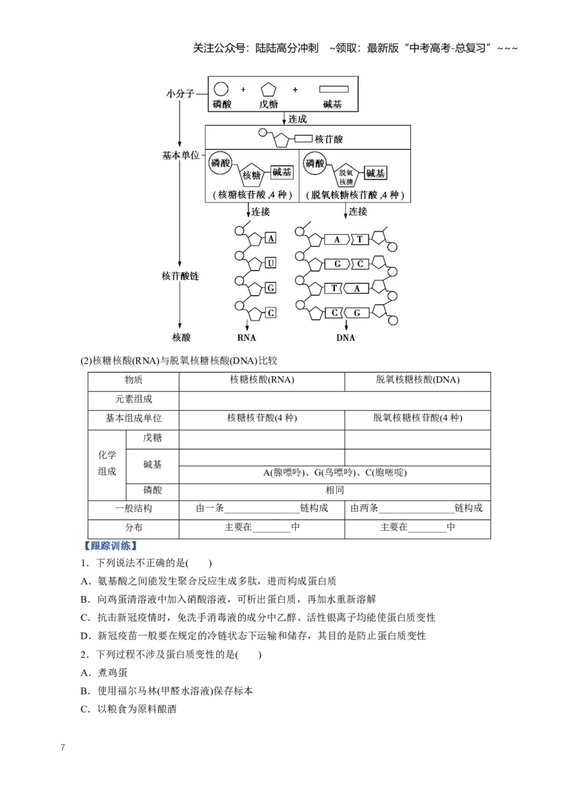 《专题04生物大分子合成高分子（知识清单）（全国通用）（学生版）_05-化学-高考总复习_一轮复习_2026年-化学高考一轮复习_2026年高考化学一轮复习知识清单（全国通用）-G56_2026版》第7页预览