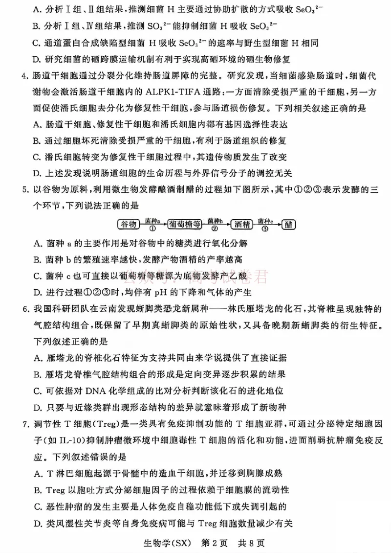 《八省T8联考2026届高三年级四月阶段练习生物_副本(1)_12.2026年4月全国各地高考模拟卷_2026年4月_2026届山西T8联考高三下学期4月联合测评全科》第2页预览