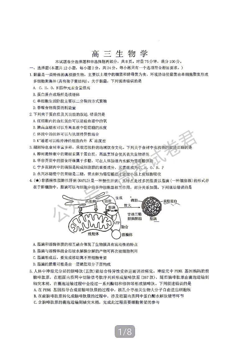 《06_生物_湖南雅礼中学2026-2027年高三年级月考卷(一)_试卷_小初高学习资料合集(每天更新)_湖南雅礼中学2026-2027学年高三月考卷(一)》第1页预览