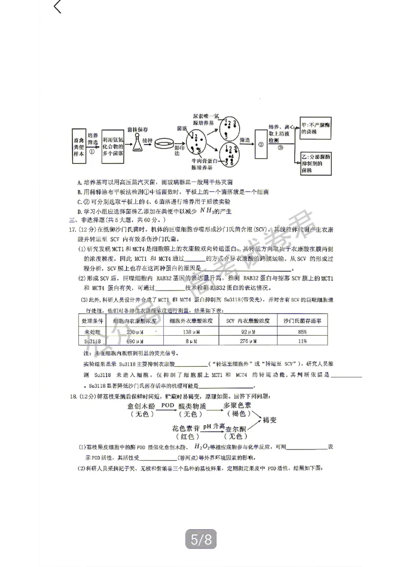 《06_生物_湖南雅礼中学2026-2027年高三年级月考卷(一)_试卷_小初高学习资料合集(每天更新)_湖南雅礼中学2026-2027学年高三月考卷(一)》第5页预览