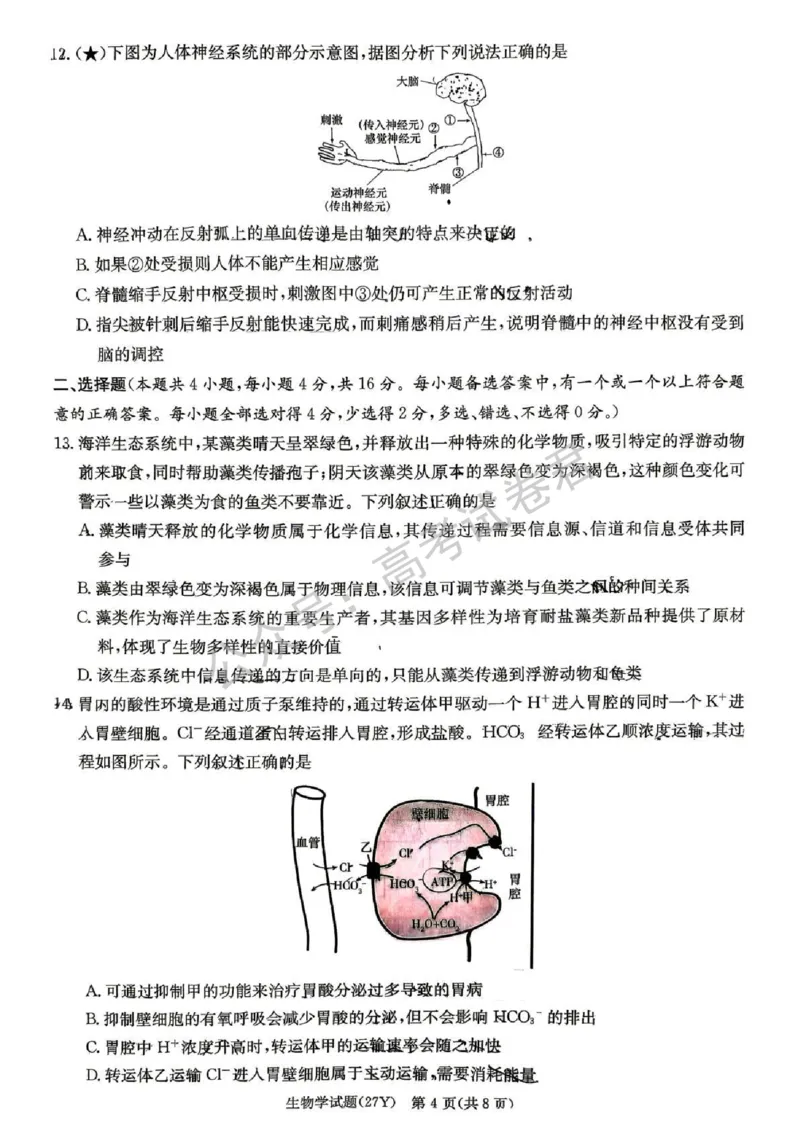 《05_生物_湖南炎德英才名校联考2026-2027年高三上学期开学考试_试卷+答案_小初高学习资料合集(每天更新)_湖南炎德英才名校联考2026-2027年高三上学期开学考试》第4页预览