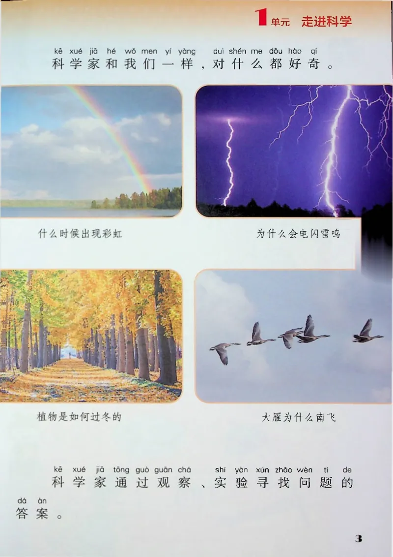 《1年级科学上（苏教版2024）_小学1-6年级全科全套_2025更新专题（含教材）_寒假预复习必备资料2024新版小学教材电子版_小学科学_苏教版（无水印）》第5页预览