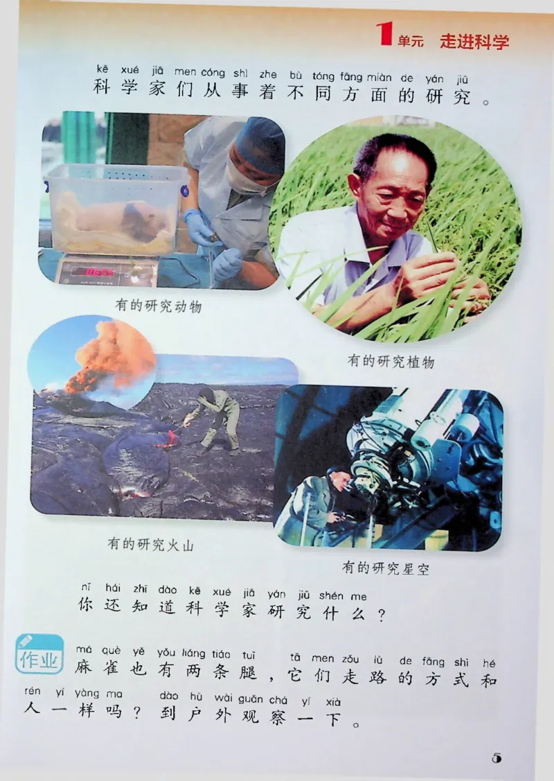 《1年级科学上（苏教版2024）_小学1-6年级全科全套_2025更新专题（含教材）_寒假预复习必备资料2024新版小学教材电子版_小学科学_苏教版（无水印）》第7页预览