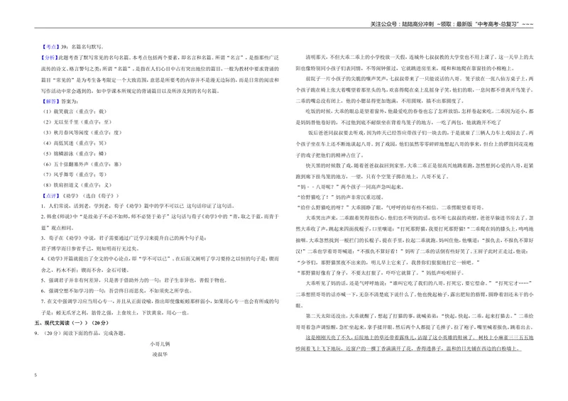 《2018年江苏省高考语文试卷解析版_专项复习_2026年-语文专项复习_2008年-2025年语文高考真题_2008-2020年高考_地方卷_江苏高考语文07-21_A3word版》第5页预览