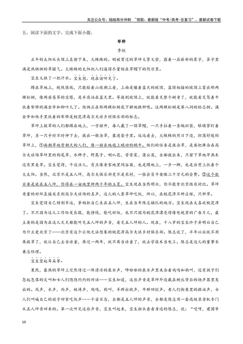 《45文学类文本阅读之短评（新高考版）（试卷）_二轮复习_2025年_2025年新高考语文二轮复习高频考点重难点强化训练卷_资料》第10页预览