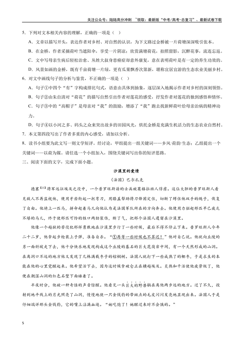 《45文学类文本阅读之短评（新高考版）（试卷）_二轮复习_2025年_2025年新高考语文二轮复习高频考点重难点强化训练卷_资料》第5页预览