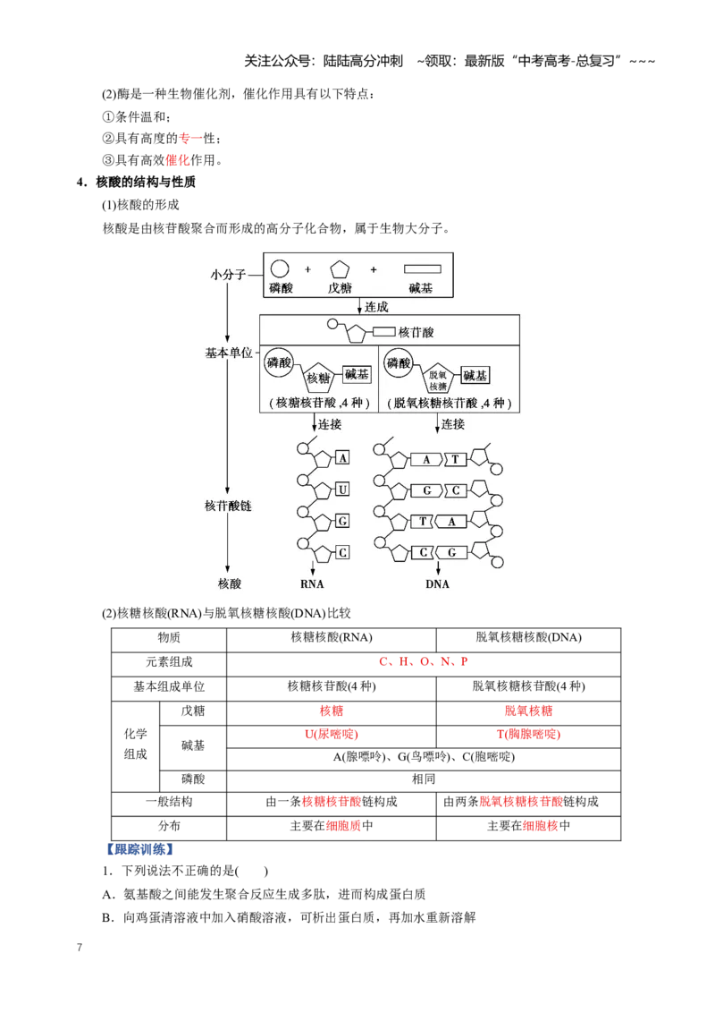 《专题04生物大分子合成高分子（知识清单）（全国通用）（教师版）_05-化学-高考总复习_一轮复习_2026年-化学高考一轮复习_2026年高考化学一轮复习讲义+练习+课件（新教材新高考）-G55》第7页预览