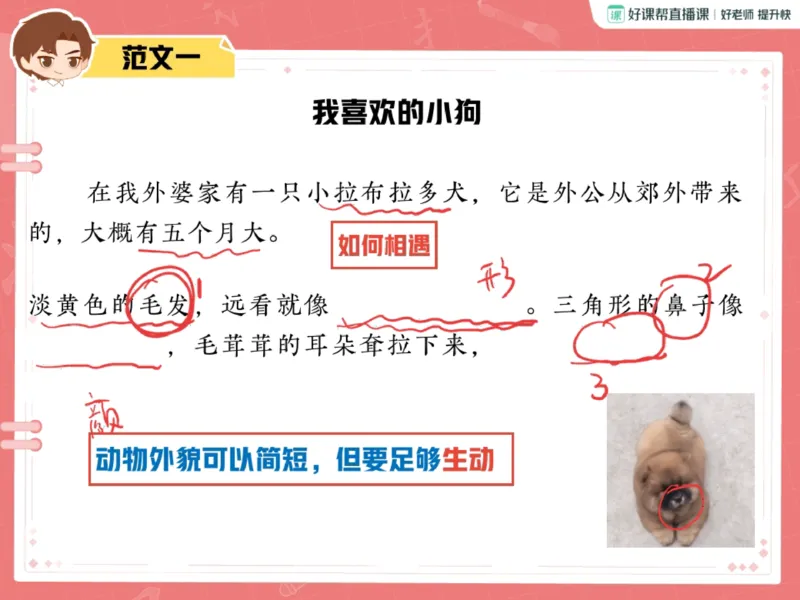 《20.课堂笔记主讲课中笔记_2025初一网课_25初一语文_2025初一语文贾慧芳A+秋下_00.课堂笔记》第4页预览