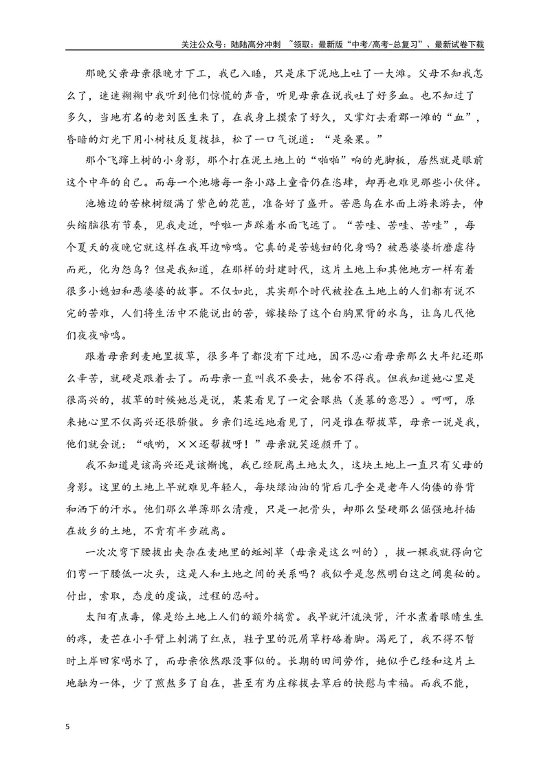 《2024年新高考九省联考语文模拟试卷二（九省联考专用）（原卷版）_专项复习_2024年_2024年新高考九省联考语文模拟试卷真题检测卷练习_资料》第5页预览