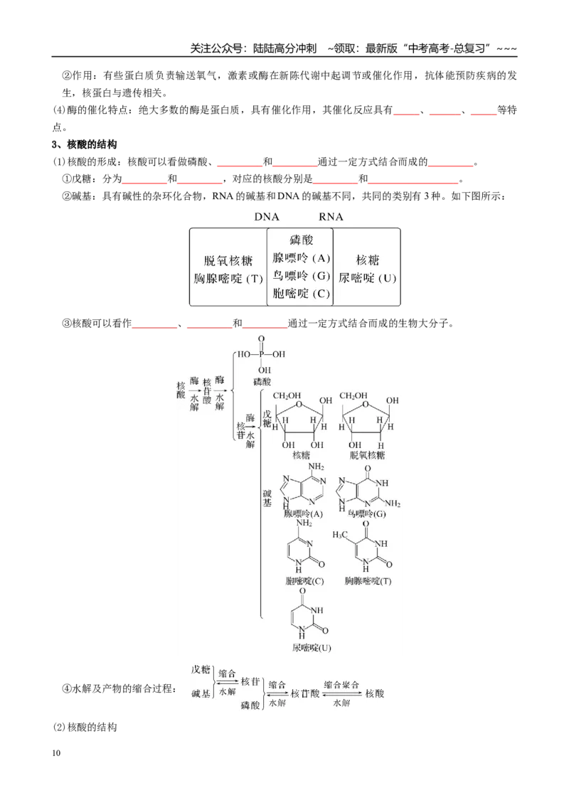 《专题04生物大分子和合成高分子（高效培优讲义）（学生版）_05-化学-高考总复习_一轮复习_2026年-化学高考一轮复习_2026年高考化学一轮复习考点精讲精练（新高考通用）-G58_2026版》第10页预览
