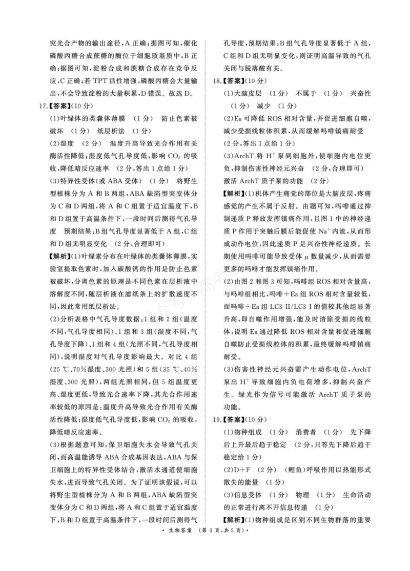 《2025—2026学年高三9月高三质量检测生物试题答案解析评分细则2025—2026学年高三9月高三质量检测生物答案_小初高学习资料合集（每天更新）》第3页预览