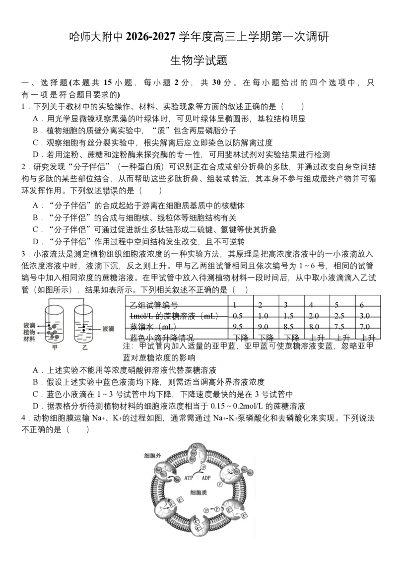 《05_生物_哈尔滨师范大学附属中学2026-2027学年上学期高三第一次调研考试_试卷_小初高学习资料合集（每天更新）_哈尔滨师范大学附属中学2026-2027学年上学期高三第一次调研考试》第1页预览