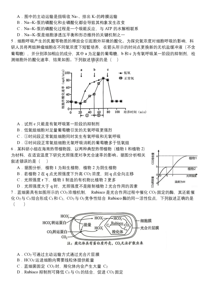 《05_生物_哈尔滨师范大学附属中学2026-2027学年上学期高三第一次调研考试_试卷_小初高学习资料合集（每天更新）_哈尔滨师范大学附属中学2026-2027学年上学期高三第一次调研考试》第2页预览