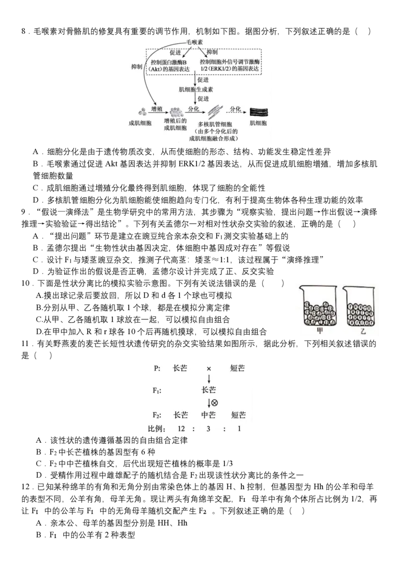《05_生物_哈尔滨师范大学附属中学2026-2027学年上学期高三第一次调研考试_试卷_小初高学习资料合集（每天更新）_哈尔滨师范大学附属中学2026-2027学年上学期高三第一次调研考试》第3页预览