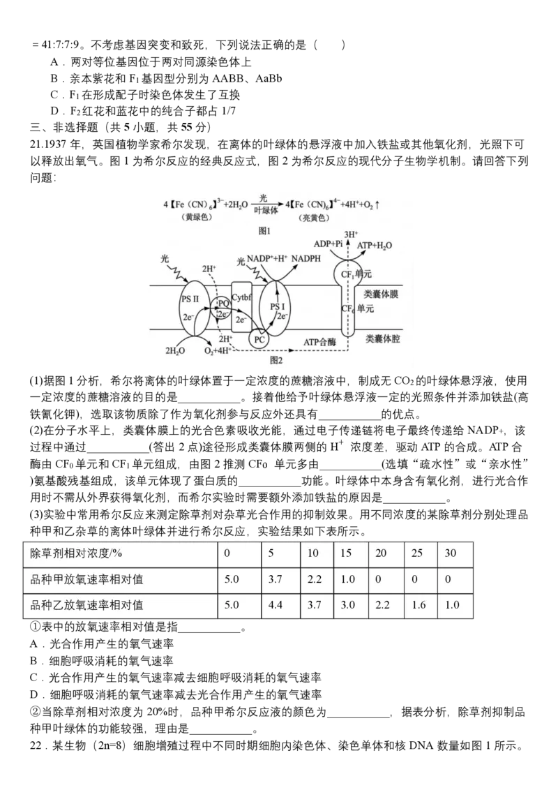《05_生物_哈尔滨师范大学附属中学2026-2027学年上学期高三第一次调研考试_试卷_小初高学习资料合集（每天更新）_哈尔滨师范大学附属中学2026-2027学年上学期高三第一次调研考试》第6页预览