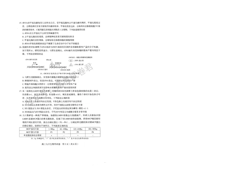 《11_生物_2025-2026学年度湖北武汉市部分学校高三上学期9月调研考试_试卷+答案_小初高学习资料合集（每天更新）_湖北武汉市部分学校2025-2026学年高三上学期9月调研考试》第5页预览