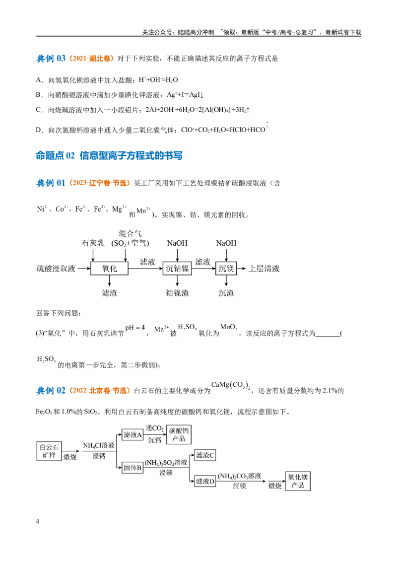《专题03离子反应（讲义）（原卷版）_05-化学-高考总复习_二轮复习_2024年_2024年高考化学二轮复习高频考点追踪与预测（新高考专用）_讲义》第4页预览