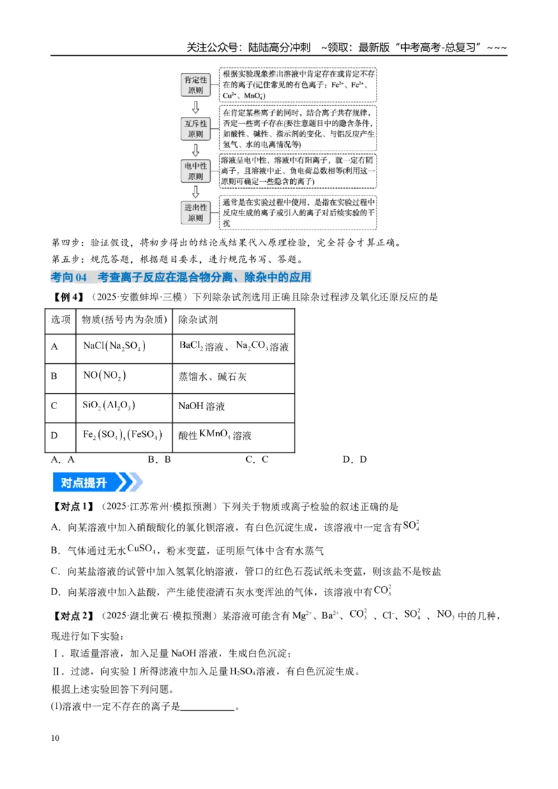 《专题03离子共存离子的检验与推断（高效培优讲义）（学生版）_05-化学-高考总复习_一轮复习_2026年-化学高考一轮复习_2026年高考化学一轮复习考点精讲精练（新高考通用）-G58_2026版》第10页预览