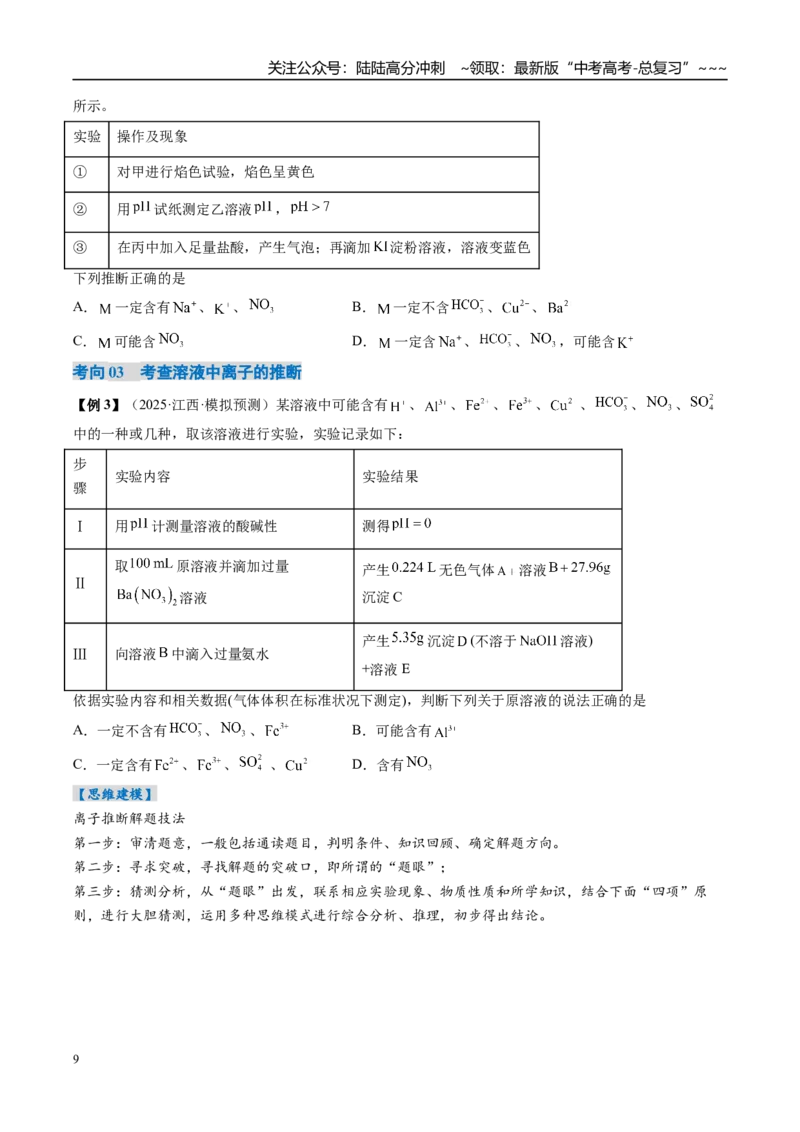 《专题03离子共存离子的检验与推断（高效培优讲义）（学生版）_05-化学-高考总复习_一轮复习_2026年-化学高考一轮复习_2026年高考化学一轮复习考点精讲精练（新高考通用）-G58_2026版》第9页预览
