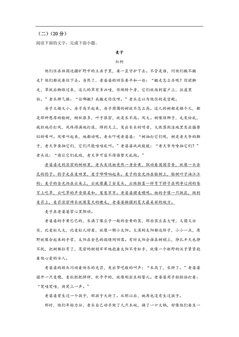 《2021年浙江省高考语文（原卷版）_专项复习_2026年-语文专项复习_2008年-2025年语文高考真题_2008-2020年高考_地方卷_浙江高考语文08-21_A4word版_PDF版（赠送）》第5页预览