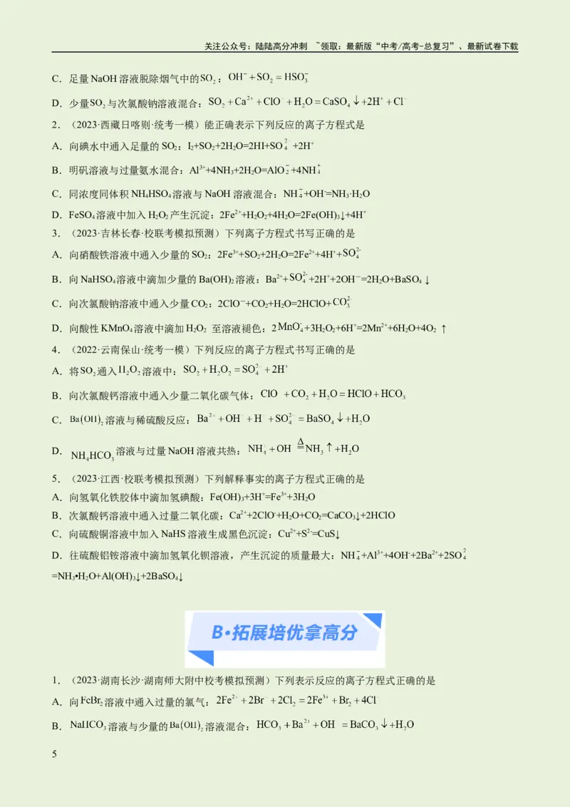 《专题03离子反应（分层练）（原卷版）_05-化学-高考总复习_二轮复习_2024年_2024年高考化学二轮复习高频考点追踪与预测（新高考专用）_分层练》第5页预览