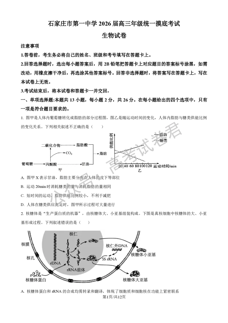 《06_生物_2025-2026学年度河北石家庄第一中学高三上学期9月摸底考试_试卷+答案_小初高学习资料合集（每天更新）_河北石家庄第一中学2025-2026学年高三上学期9月摸底考试》第1页预览