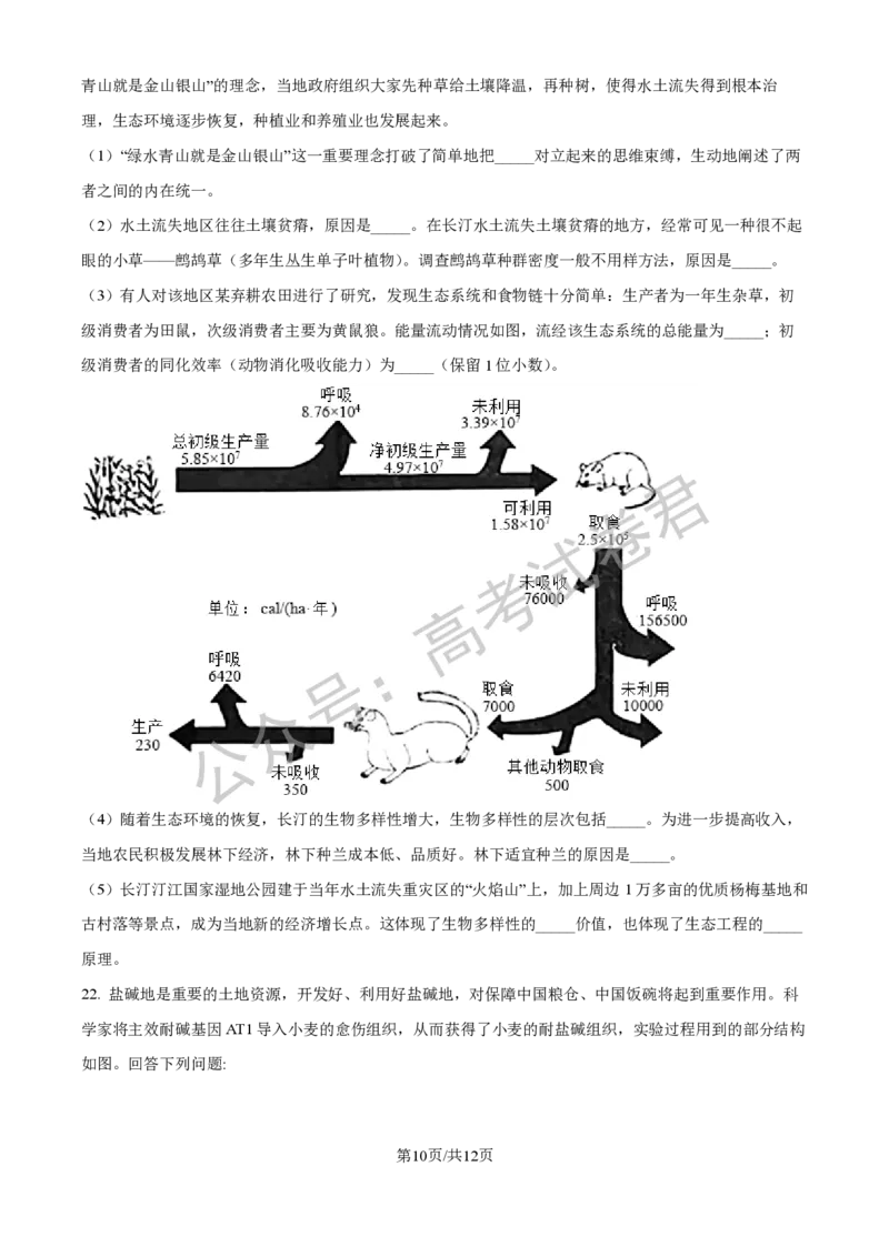 《06_生物_2025-2026学年度河北石家庄第一中学高三上学期9月摸底考试_试卷+答案_小初高学习资料合集（每天更新）_河北石家庄第一中学2025-2026学年高三上学期9月摸底考试》第10页预览