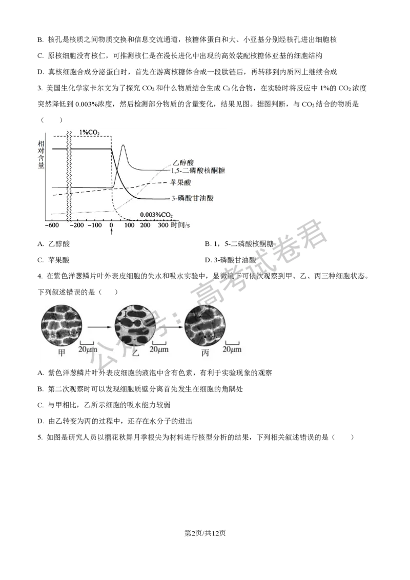 《06_生物_2025-2026学年度河北石家庄第一中学高三上学期9月摸底考试_试卷+答案_小初高学习资料合集（每天更新）_河北石家庄第一中学2025-2026学年高三上学期9月摸底考试》第2页预览