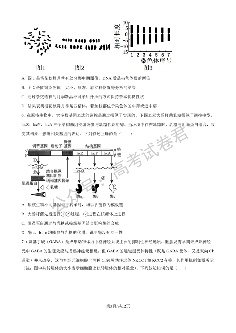 《06_生物_2025-2026学年度河北石家庄第一中学高三上学期9月摸底考试_试卷+答案_小初高学习资料合集（每天更新）_河北石家庄第一中学2025-2026学年高三上学期9月摸底考试》第3页预览